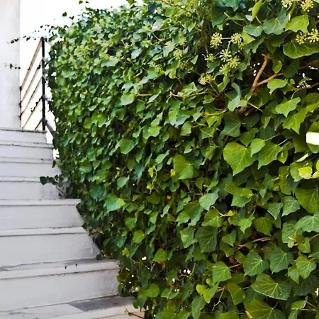 Appartement Dragons Eye *