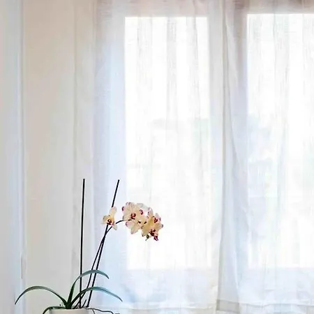 Dragons Eye Appartement