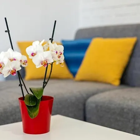 Dragons Eye Appartement *