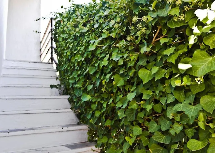 Appartement Dragons Eye *