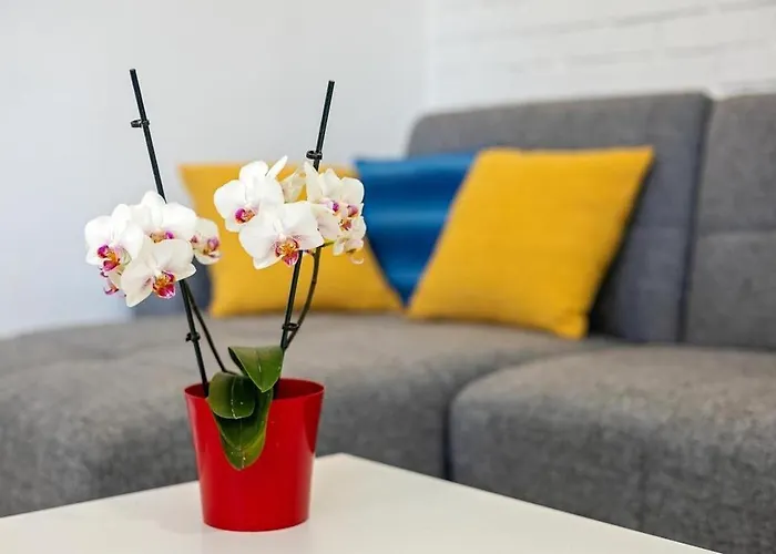 Dragons Eye Appartement *